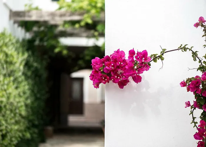 Coliving Add Livitum Hotel Ciutadella (Menorca)