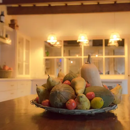 Coliving Add Livitum 호텔 시우타데야