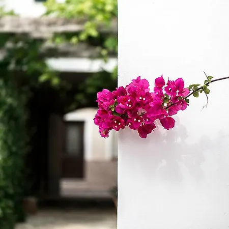 Coliving Add Livitum 호텔 시우타데야