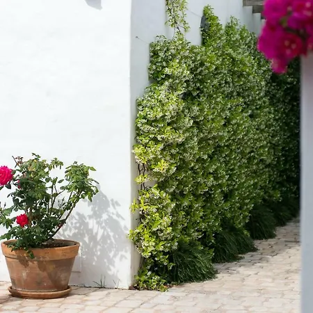 Coliving Add Livitum 4* 시우타데야