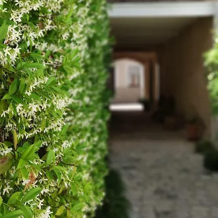 Coliving Add Livitum 4*