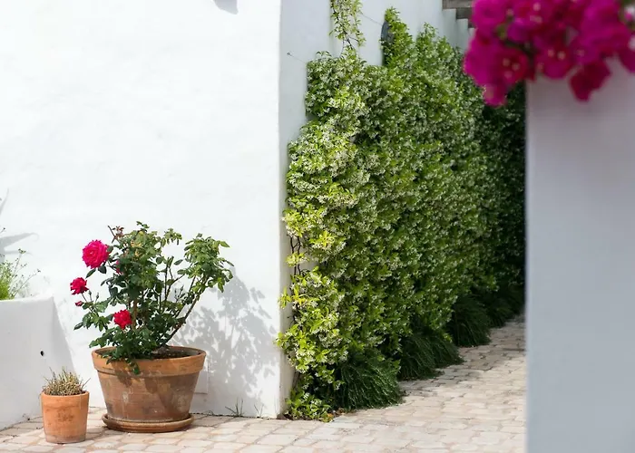 Coliving Add Livitum 4* Ciutadella (Menorca)