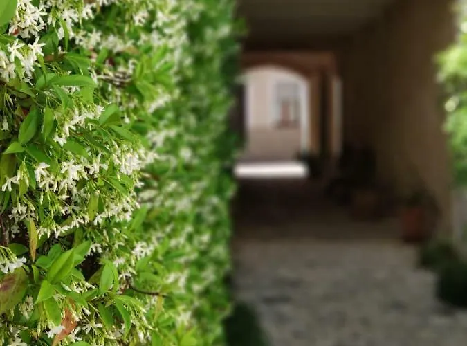 Coliving Add Livitum 4*