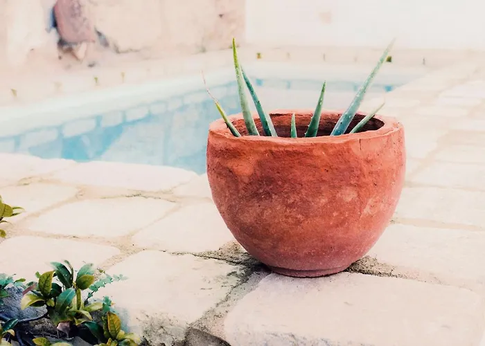 Hotel Coliving Add Livitum Ciutadella (Menorca)